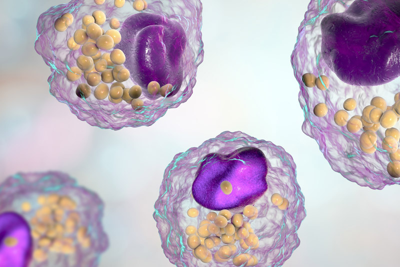 Lipid Testing